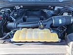 2017 Ford F-150 XL for sale #U16087 - photo 29