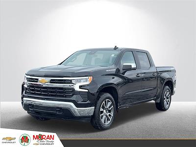 2024 Chevrolet Silverado 1500 Crew Cab 4x4 Pickup for sale #C31366 - photo 1