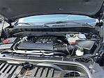 2024 Chevrolet Silverado 1500 Crew Cab 4x4 Pickup for sale #C31873 - photo 17