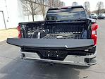 2024 Chevrolet Silverado 1500 Crew Cab 4x4 Pickup for sale #C31873 - photo 19