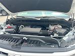 2023 Chevrolet Silverado 1500 Crew Cab 4x4 Pickup for sale #C32555 - photo 17