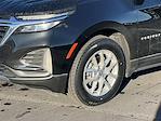 2024 Chevrolet Equinox FWD SUV for sale #C32992 - photo 8
