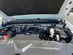 2016 Chevrolet Silverado 1500 Regular Cab 4x2 Pickup for sale #Z32278 - photo 9