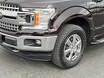 2019 Ford F-150 SuperCrew Cab 4WD Pickup for sale #ZT85802A - photo 8