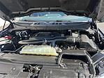 2021 Ford F-150 SuperCrew Cab 4WD Pickup for sale #ZT87099A - photo 10