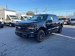 2024 Ford F-150 SuperCrew Cab 4WD, Pickup for sale #F31098 - photo 3