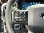 2024 Ford F-150 SuperCrew Cab 4WD Pickup for sale #F31099 - photo 16