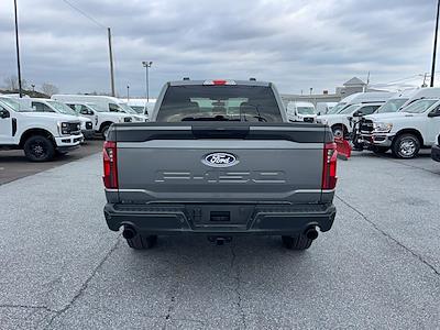 2024 Ford F-150 SuperCrew Cab 4WD, Pickup for sale #F31172 - photo 2