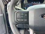 2025 Ford F-150 SuperCrew Cab 4WD Pickup for sale #F31253 - photo 13