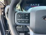 2025 Ford F-150 SuperCrew Cab 4WD Pickup for sale #F31294 - photo 14