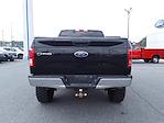 2017 Ford F-150 SuperCrew Cab 4WD Pickup for sale #F31367ADR - photo 8