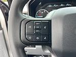 New 2025 Ford F-250 Crew Cab 4WD Pickup for sale #F31445 - photo 13