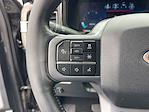 2024 Ford F-250 Crew Cab 4WD Pickup for sale #F31501A - photo 17