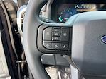 2025 Ford F-150 SuperCrew Cab 4WD Pickup for sale #F31764 - photo 14