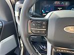 2026 Ford F-350 Crew Cab DRW 4WD Pickup for sale #F31780 - photo 13