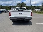 2025 Ford F-150 Regular Cab RWD Pickup for sale #PF2412ADR - photo 7