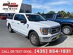 2023 Ford F-150 SuperCrew Cab 4x4 Pickup for sale #C9388 - photo 1