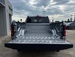 2025 Ram 1500 Crew Cab 4x2 Pickup for sale #C8195 - photo 6