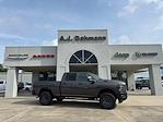 2025 Ram 2500 Crew Cab 4x4 Pickup for sale #C8209 - photo 1