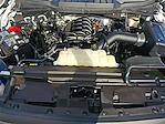 2024 Ford F-150 Regular Cab RWD Pickup for sale #AD26047 - photo 27