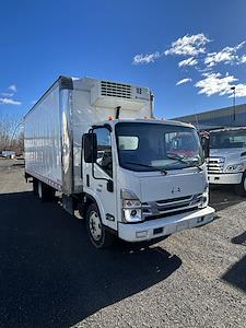 Used 2023 Hino S51 Refrigerated Body for sale #T-P7900623 - photo 1