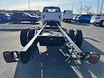 New 2023 Chevrolet Silverado 6500 Regular Cab Cab Chassis for sale #23PC1084 - photo 4
