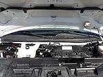 Used 2021 Chevrolet Express 3500 LT Passenger Van for sale #R-31240 - photo 32