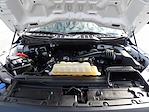 Used 2021 Ford F-150 SuperCrew Cab Pickup for sale #R-31298 - photo 45