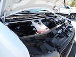 Used 2022 Chevrolet Express 3500 LS Passenger Van for sale #R-31324 - photo 43