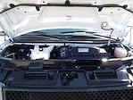 Used 2022 Chevrolet Express 3500 LS Passenger Van for sale #R-31324 - photo 44
