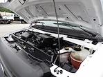 Used 2021 Ford E-350 Box Van for sale #R-31422 - photo 29