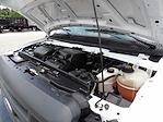 Used 2021 Ford E-350 Box Van for sale #R-31443 - photo 29
