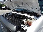 Used 2021 Ford E-350 Box Van for sale #R-31446 - photo 29