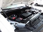 Used 2024 Chevrolet Silverado 1500 Work Truck Regular Cab for sale #R-31525 - photo 29