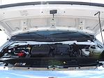 Used 2022 Ford E-350 Step Van / Walk-in for sale #R-31567 - photo 36