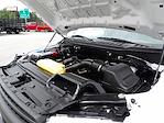 Used 2020 Ford F-150 SuperCrew Cab 4x4 Pickup for sale #R-31587 - photo 38