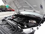 Used 2024 Chevrolet Silverado 1500 Work Truck Regular Cab for sale #R-31629 - photo 37