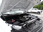 Used 2024 Chevrolet Silverado 1500 Work Truck Regular Cab for sale #R-31630 - photo 35