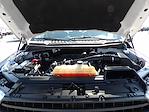 Used 2018 Ford F-150 Regular Cab Pickup for sale #R-31715 - photo 35