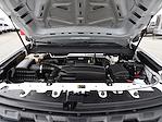 Used 2022 Chevrolet Colorado Work Truck Crew Cab for sale #R-31723 - photo 44