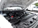 Used 2024 Ford F-250 Crew Cab for sale #R-31732 - photo 44