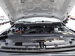 Used 2024 Ford F-250 Crew Cab for sale #R-31732 - photo 45