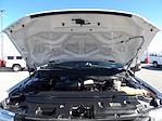 Used 2018 Ford F-250 Regular Cab for sale #R-31783 - photo 36