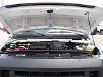 Used 2021 Ford E-350 Box Van for sale #R-31792 - photo 28