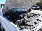 Used 2024 Ford F-250 Crew Cab Flatbed Truck for sale #R-31828 - photo 45