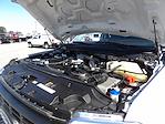 Used 2024 Ford F-250 Crew Cab Flatbed Truck for sale #R-31828 - photo 47