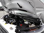 Used 2019 Ford Transit 250 Cab Chassis for sale #R-31846 - photo 33