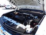 Used 2020 Chevrolet Colorado Work Truck Extended Cab for sale #R-32065 - photo 43