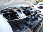 Used 2025 Chevrolet Express 3500 LS Passenger Van for sale #R-32075 - photo 41