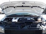 Used 2025 Chevrolet Express 3500 LS Passenger Van for sale #R-32075 - photo 42